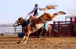 Bucking-Bronco-Rodeo-Texas
