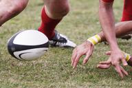 rugby-players-ball-new-zealand