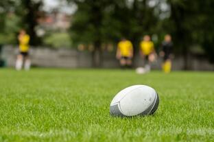 rugby-ball-on-field-grass-new-zealand