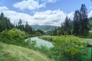river-landscape-trees-california-usa