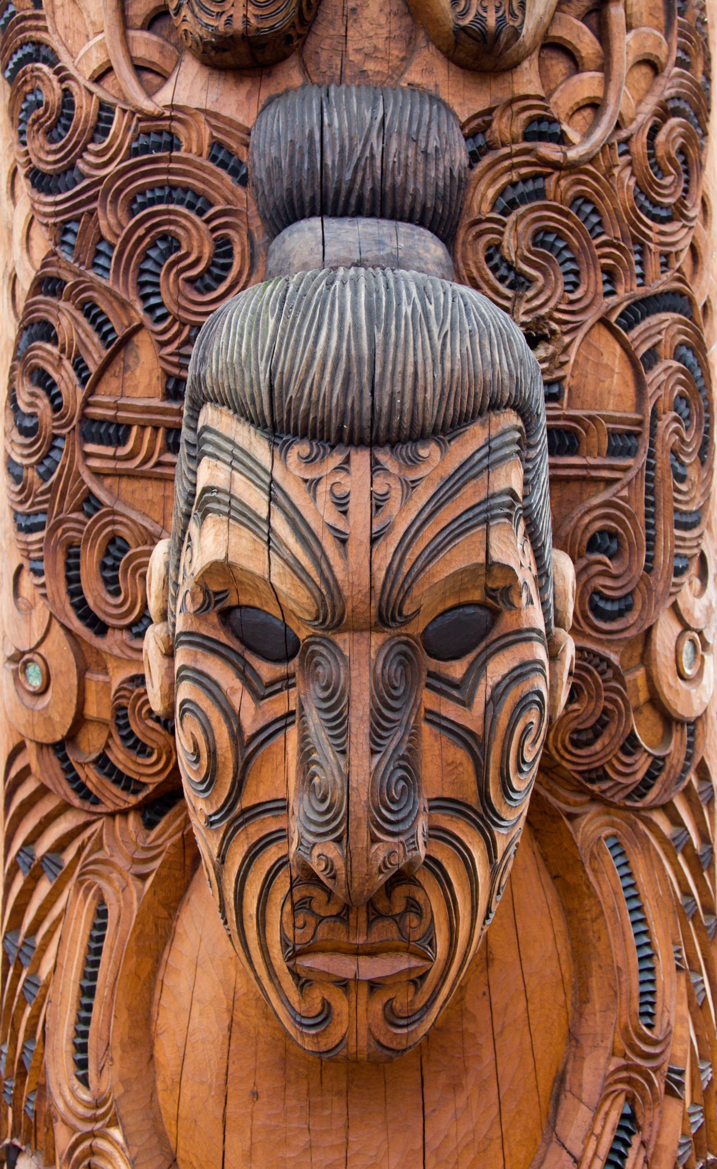 22+ Maori Tattoo Maori zealand carving moko ta culture head locum ...