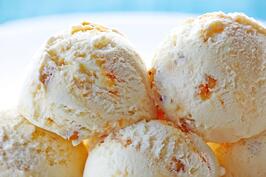 new zealand vanilla ice cream 123rf