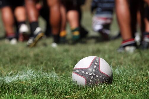 rugby-ball-grass-new-zealand