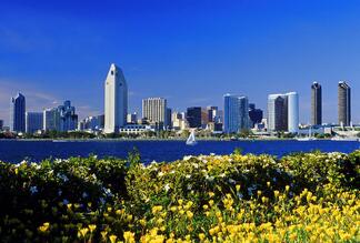 city-skyline-with-flowers-united-states