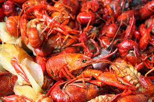 plate-of-crayfish