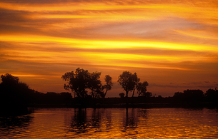 Sunset over Yellow Water Lagoon, Kakadu