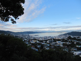 Wellington Bay