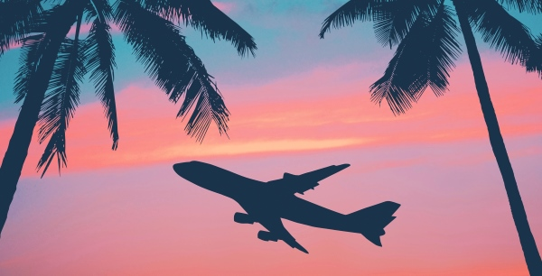 airplane-and-palm-trees-thinkstock